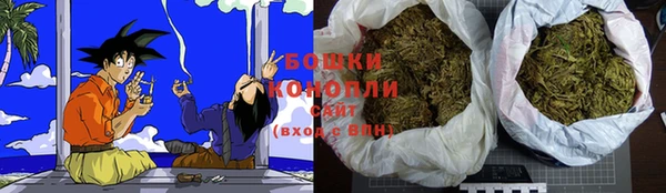 2c-b Белокуриха