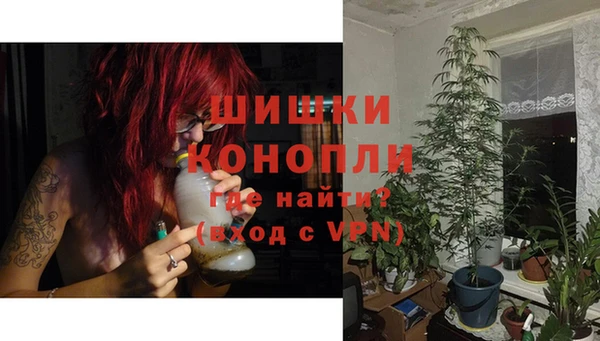 хмурый Вяземский