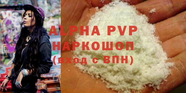 молекула духа Гусев