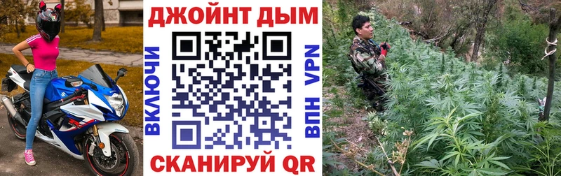 Марихуана семена  закладки  Никольск 